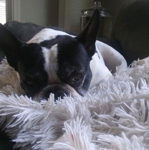 Meet your Posher, Raime